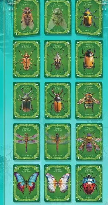 Butterfly Card Collection
